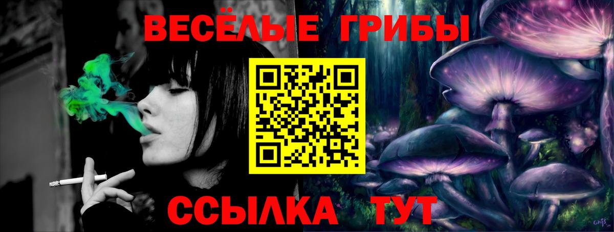 Пятигорск  Галлюциногенные грибы ЛСД  Вход с VPN 
