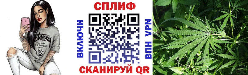 Каннабис White Widow  наркота  Пятигорск 
